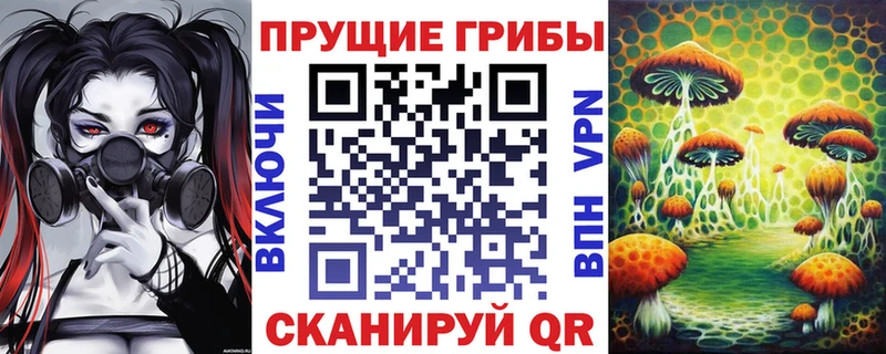 Галлюциногенные грибы MAGIC MUSHROOMS  купить наркотики сайты  Заозёрск 